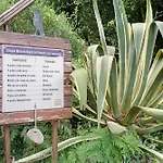 Quinta Do Castelo - Casa De Madeira *