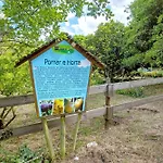 Quinta Do Castelo - Casa De Madeira *