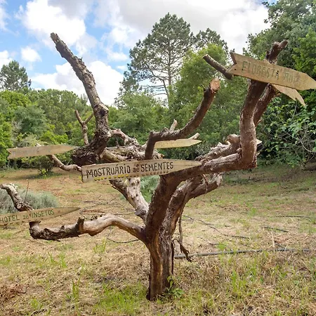 Quinta Do Castelo - Casa De Madeira Casa de Campo Reguengo Grande