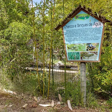 Quinta Do Castelo - Casa De Madeira *