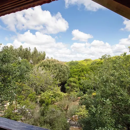 Quinta Do Castelo - Casa De Madeira Kır Evi Reguengo Grande