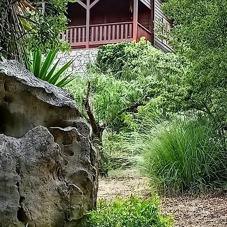 Quinta Do Castelo - Casa De Madeira Country house *