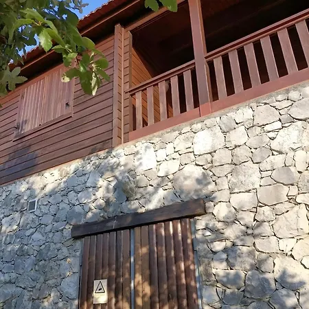 Quinta Do Castelo - Casa De Madeira Country house
