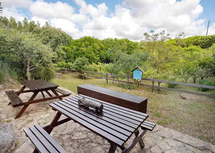 Quinta Do Castelo - Casa De Madeira * Reguengo Grande