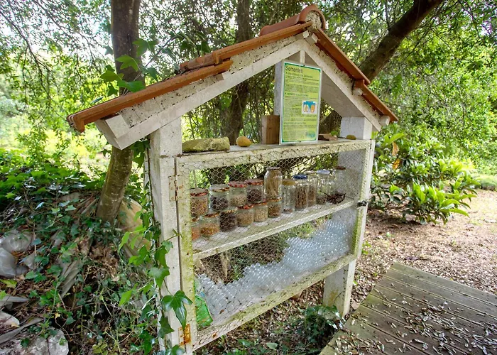 Quinta Do Castelo - Casa De Madeira