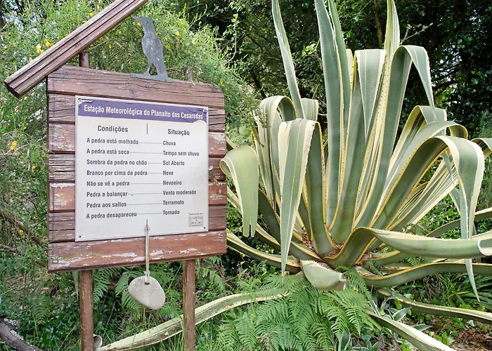 Country house Quinta Do Castelo - Casa De Madeira