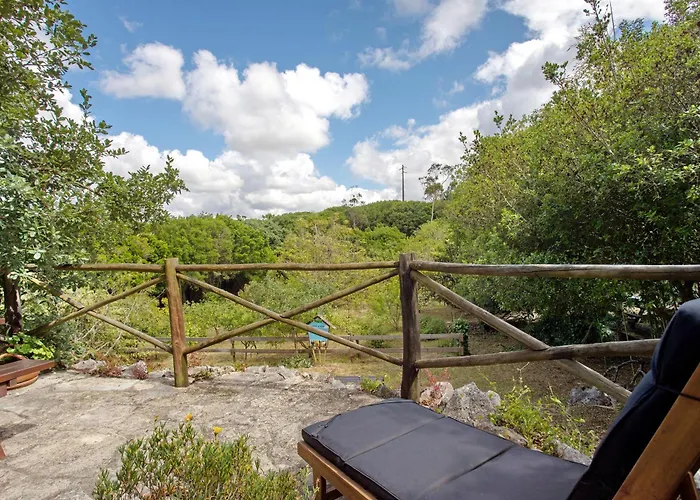 Quinta Do Castelo - Casa De Madeira * Reguengo Grande