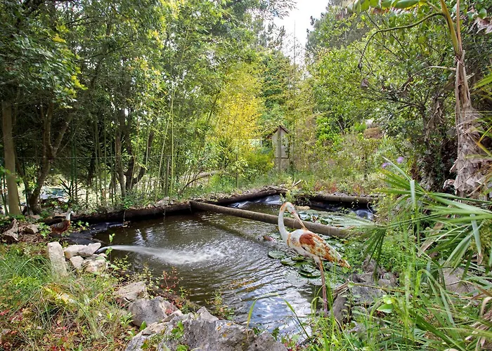 Country house Quinta Do Castelo - Casa De Madeira *